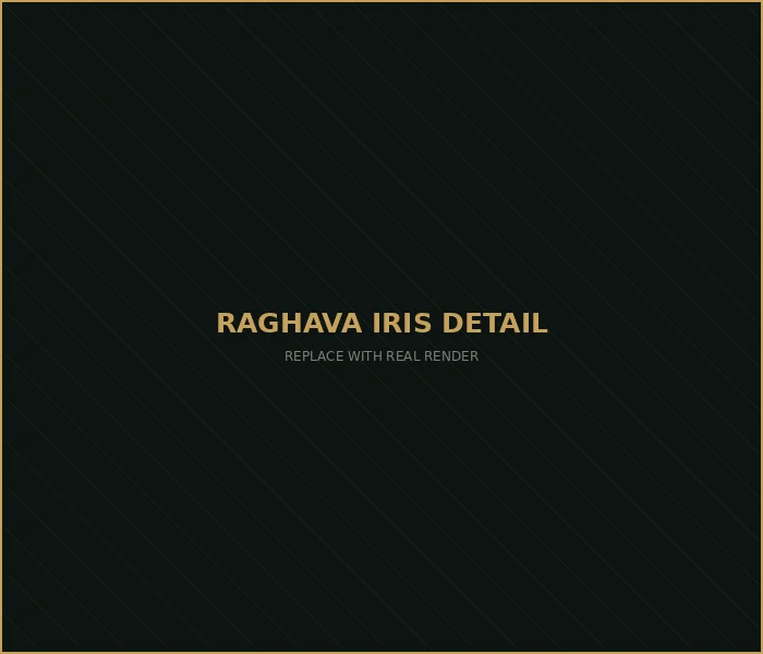Raghava IRIS Raidurg Sky Island rooftop render